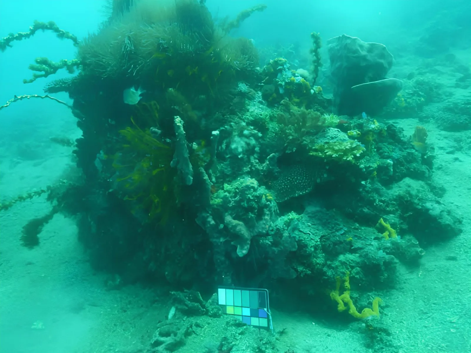 EVAP Before Enhancement