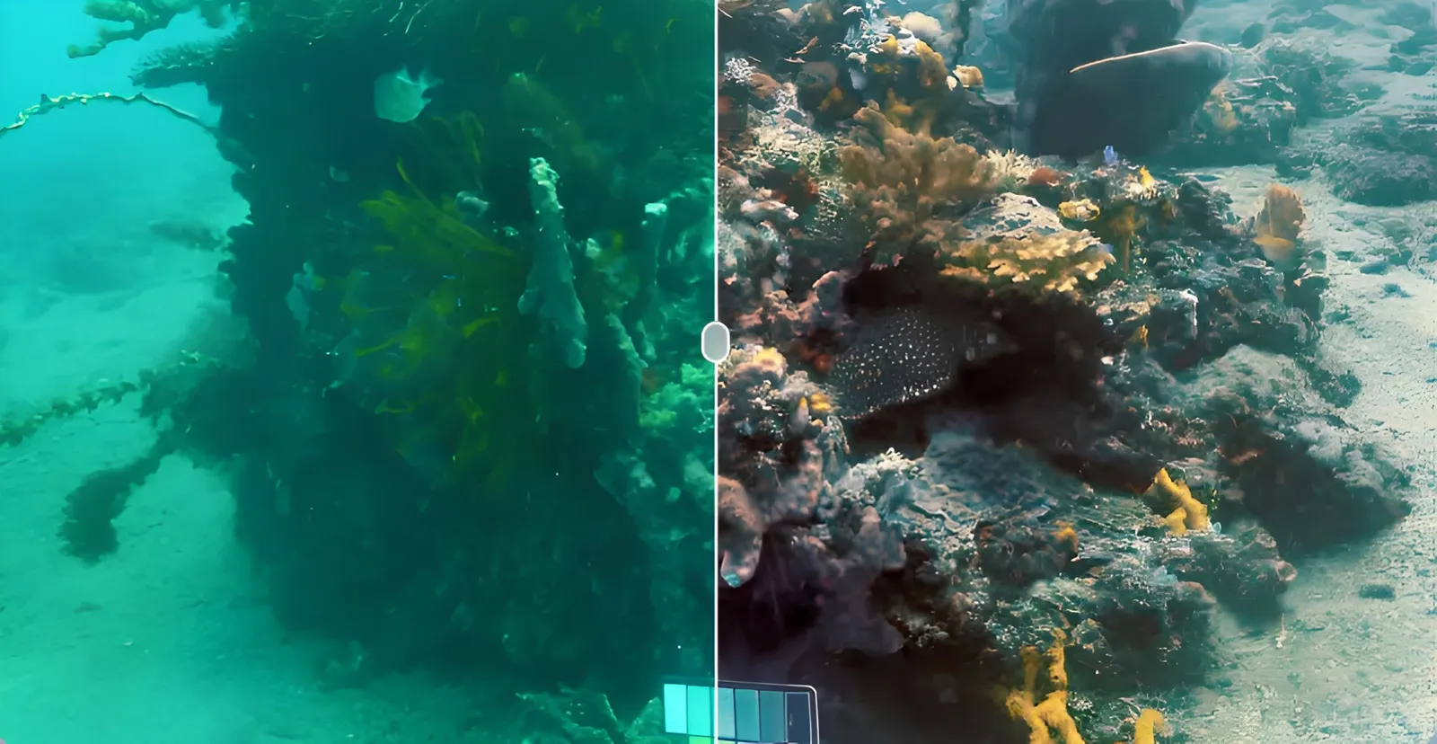 EyeROV EVAP Enhancement