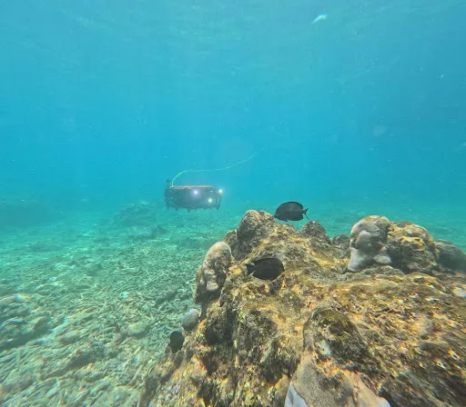 ROV coral inspection Lakshadweep