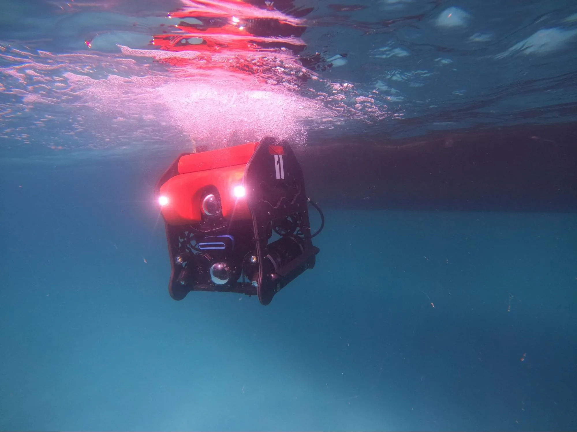 ROV coral reef survey Lakshadweep