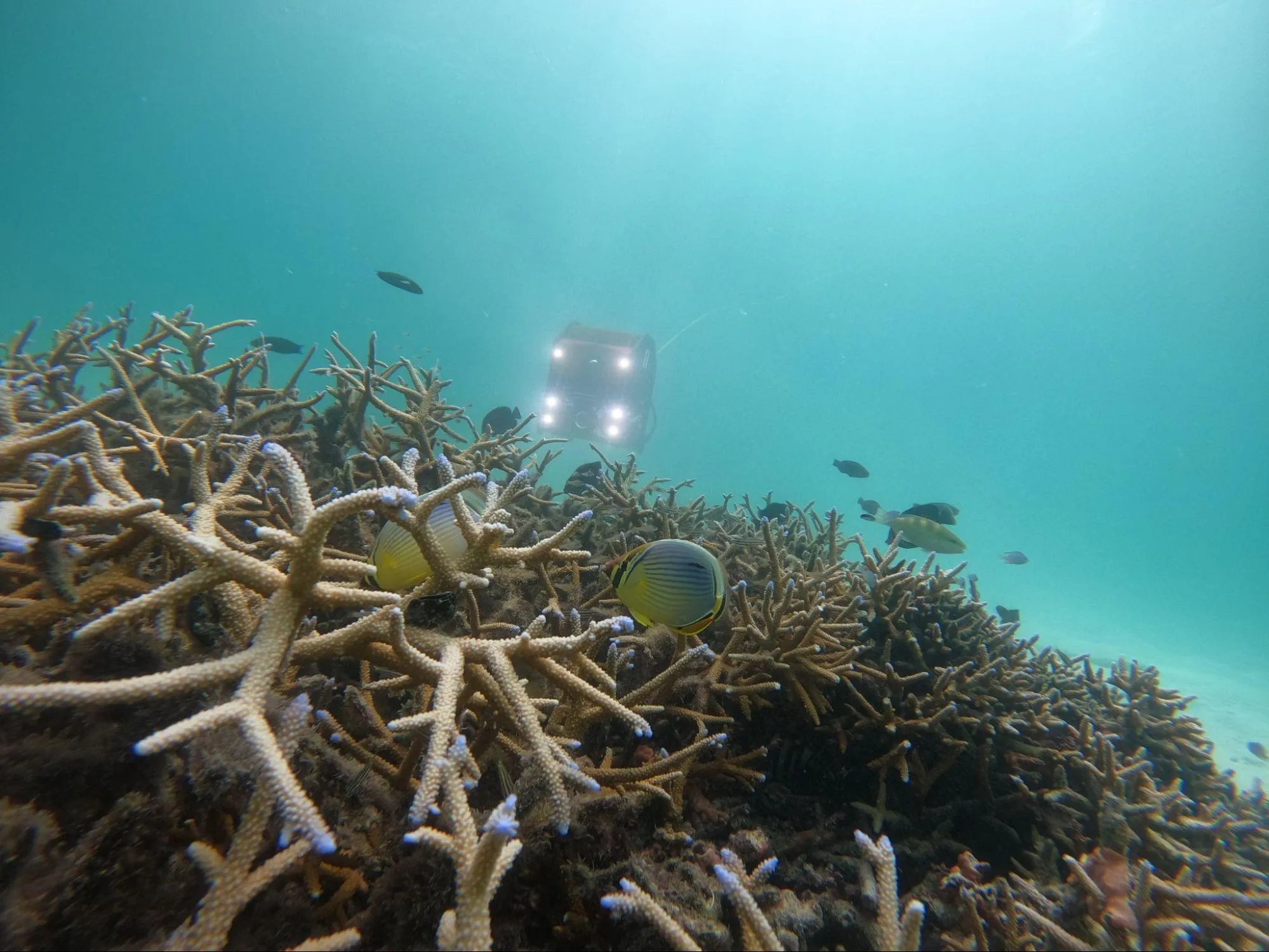 Biodiversity Monitoring Field Services