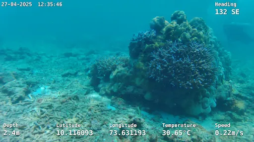 Coral reef structure Lakshadweep