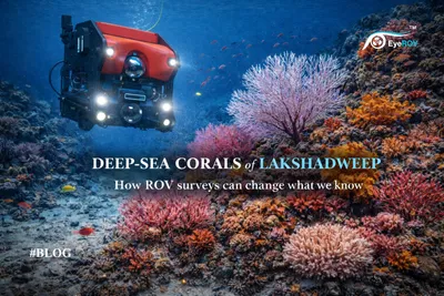 EyeROV Lakshadweep corals