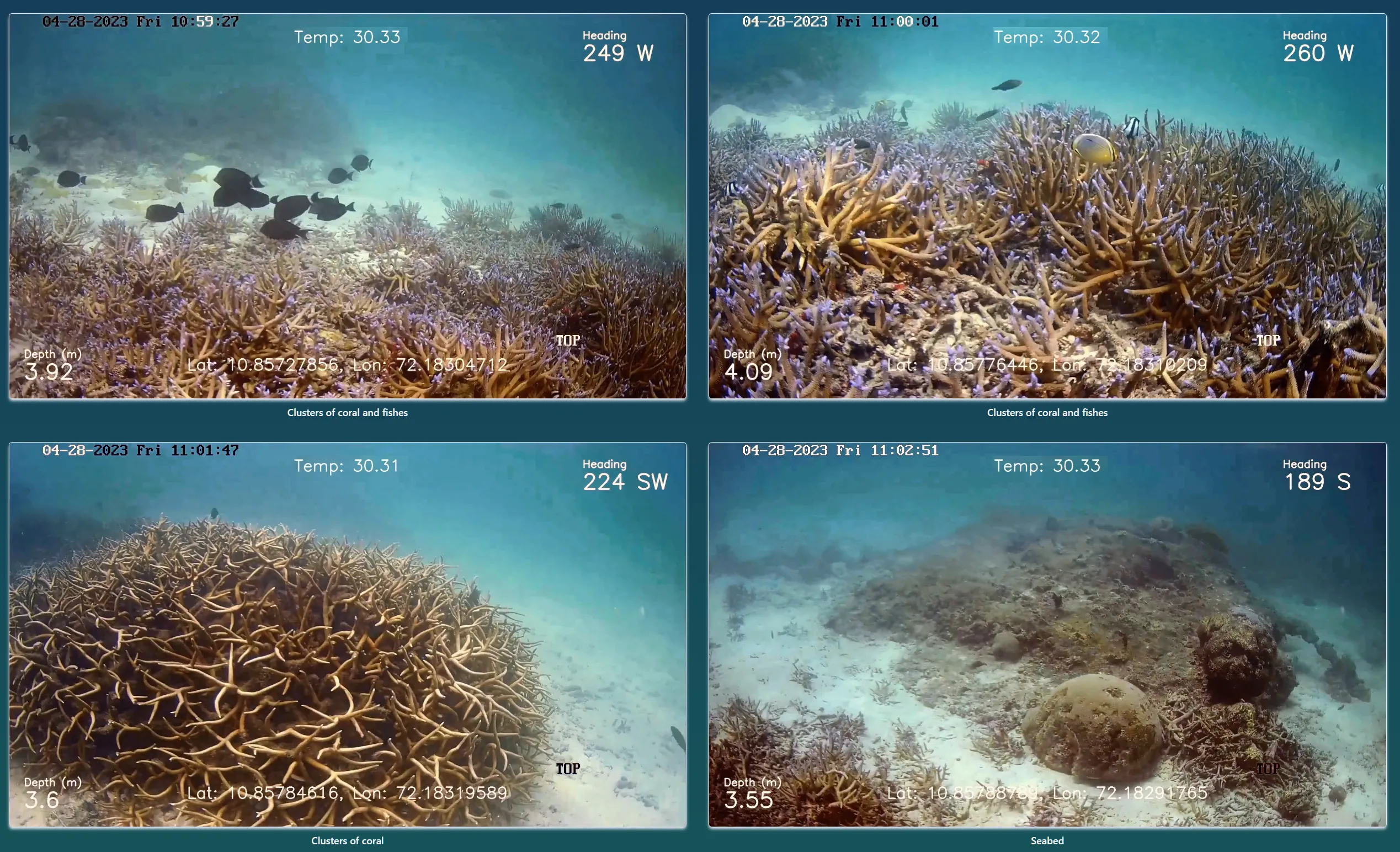 Damage Types in Dam Inspections