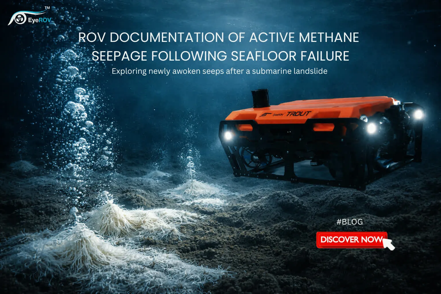 Methane seep discovery in Bay of Bengal