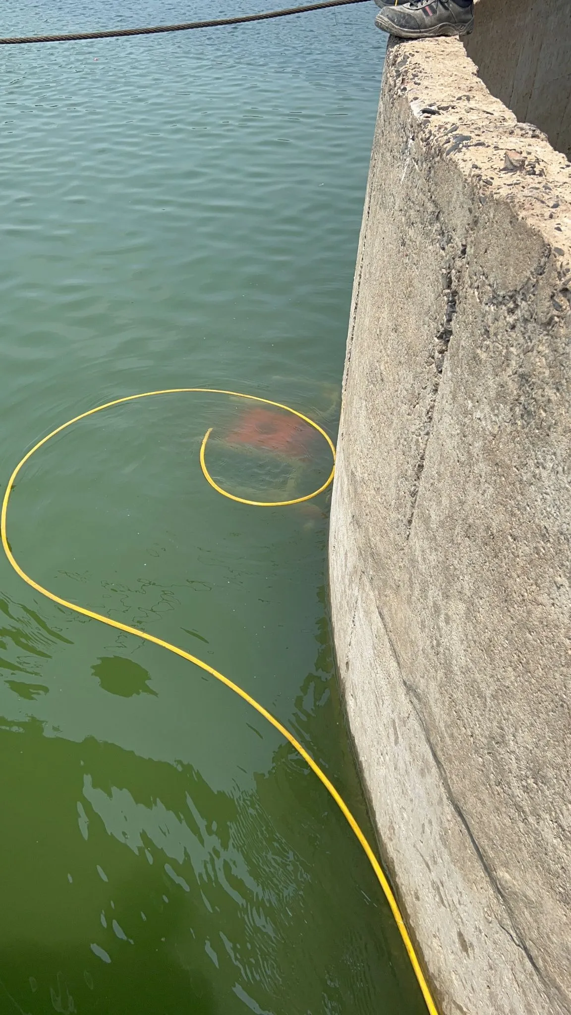 Yellow ROV tether trailing through the water to a submerged ROV deployed off a concrete wall