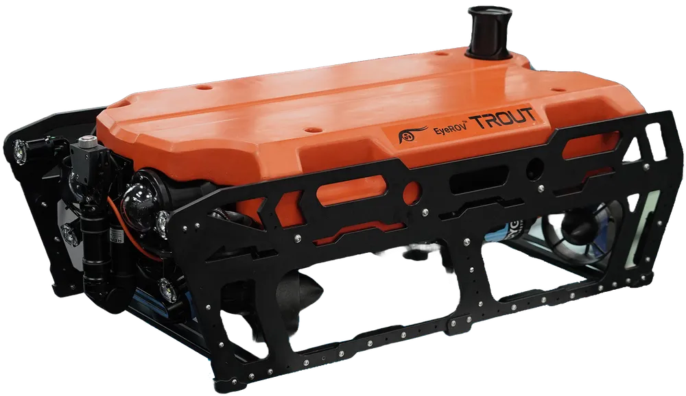 EyeROV Trout